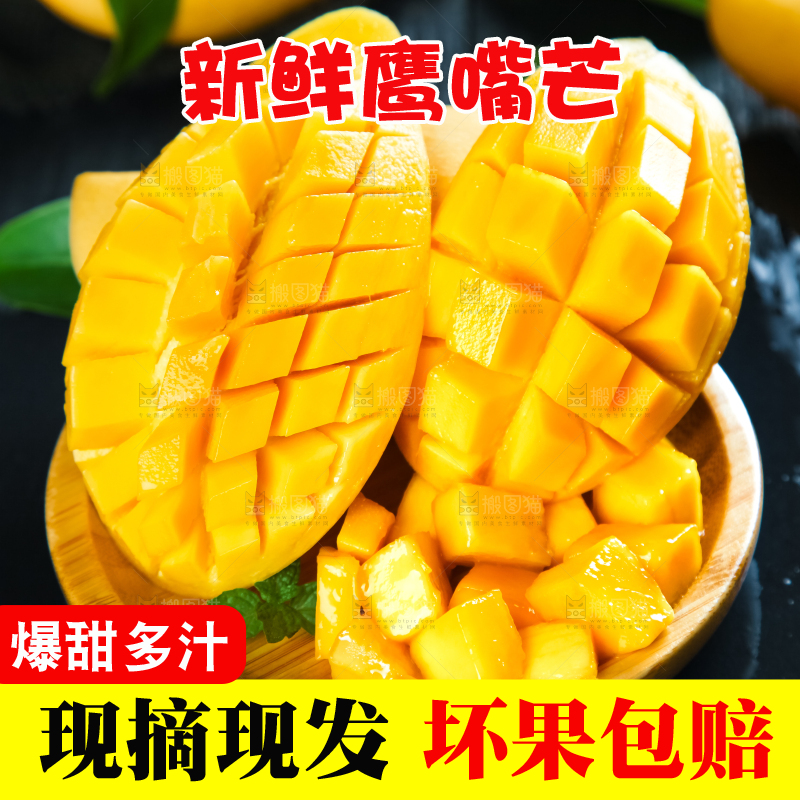 鹰嘴芒