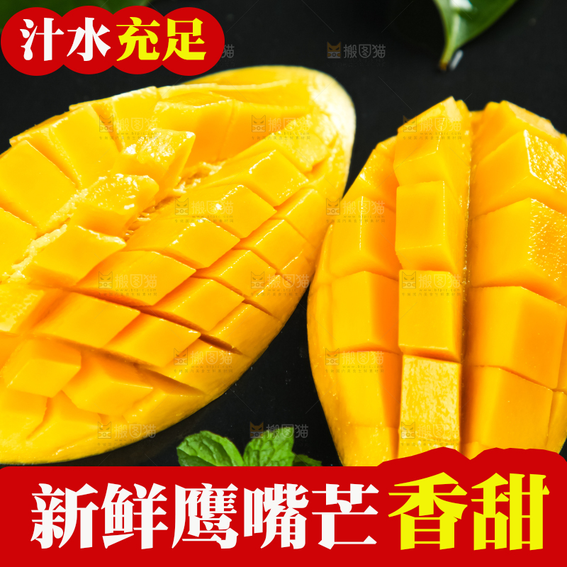 鹰嘴芒