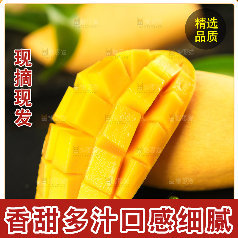 鹰嘴芒
