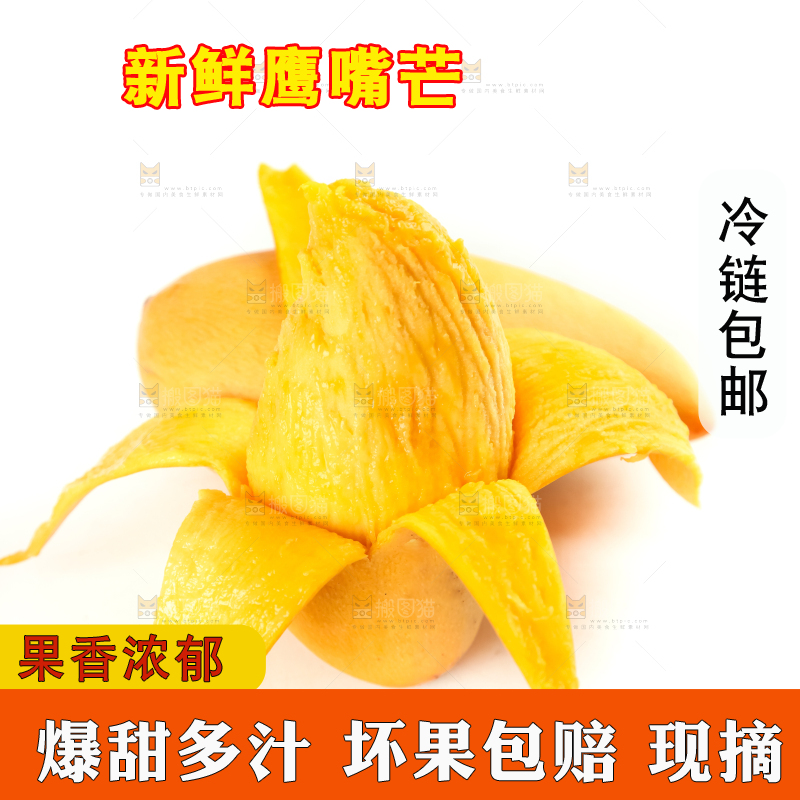 鹰嘴芒