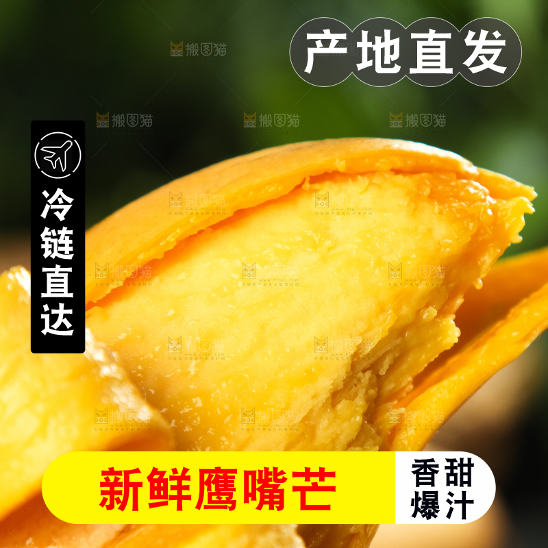 鹰嘴芒