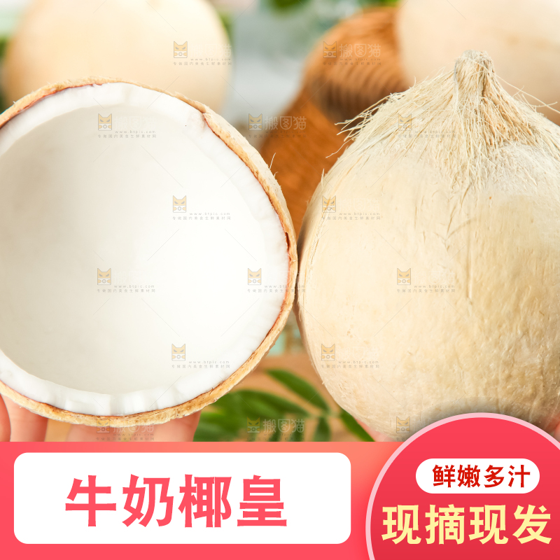 牛奶椰皇