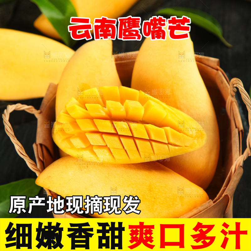 鹰嘴芒