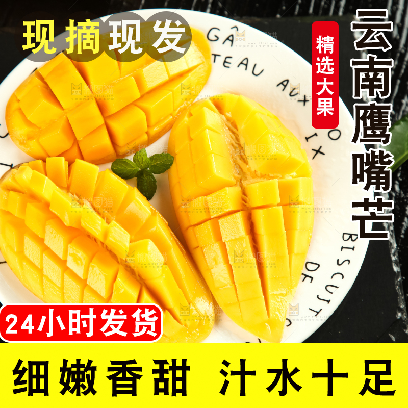 鹰嘴芒