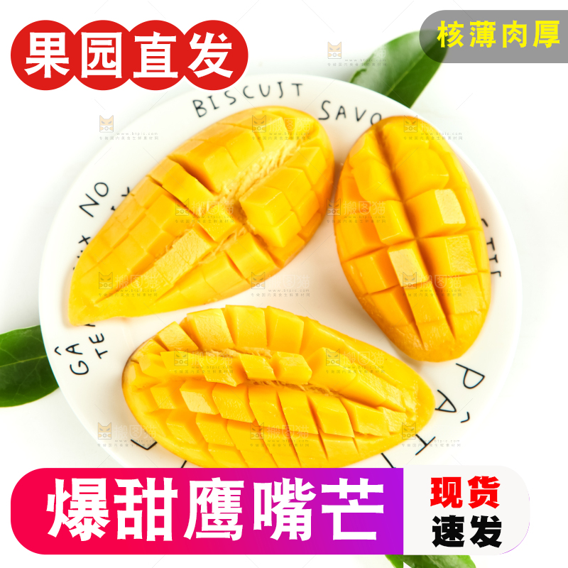 鹰嘴芒