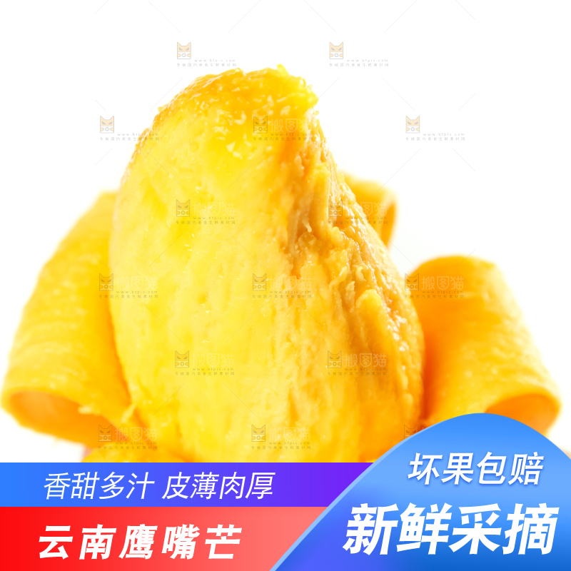 鹰嘴芒