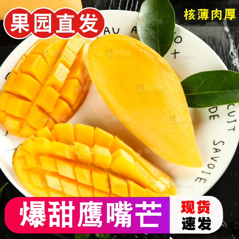 鹰嘴芒