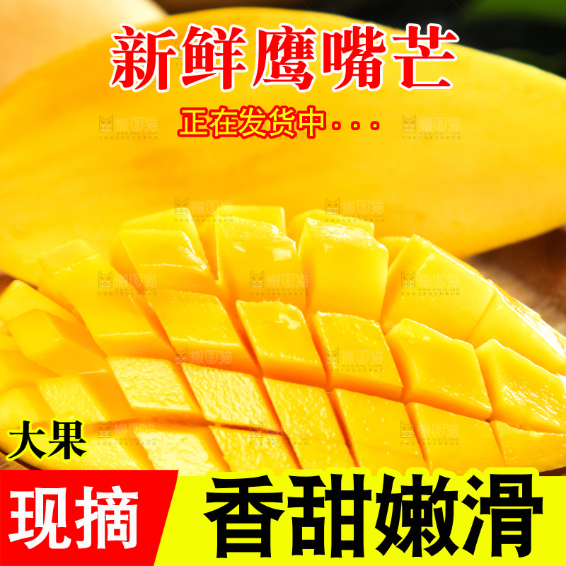鹰嘴芒