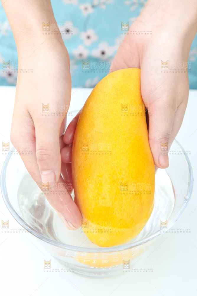 鹰嘴芒