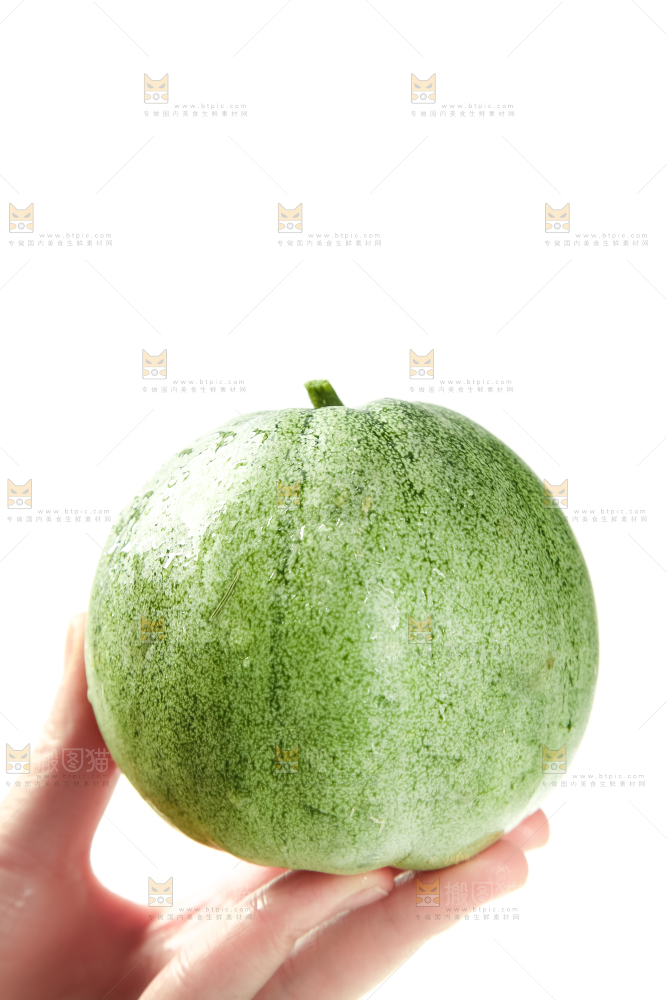 绿宝甜瓜