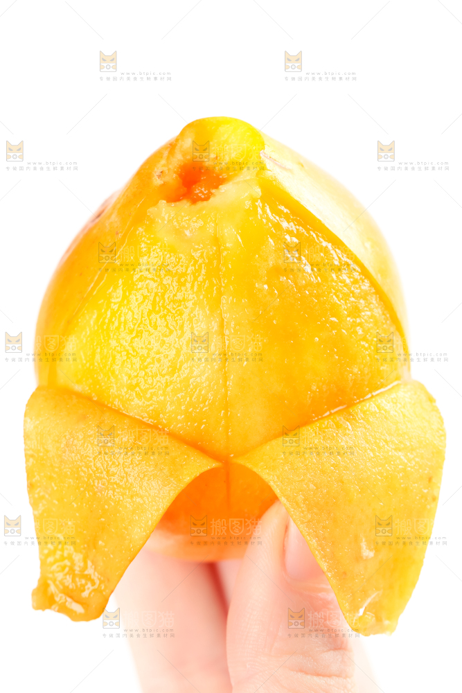 枇杷