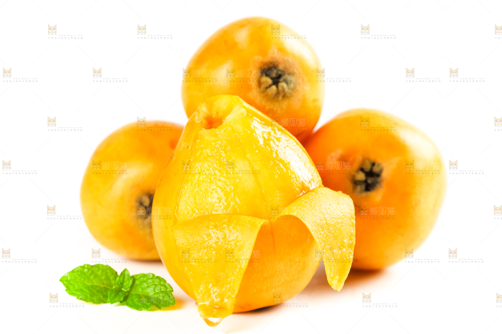 枇杷