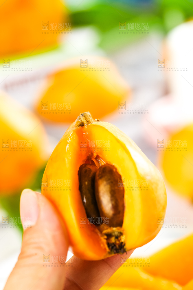 枇杷