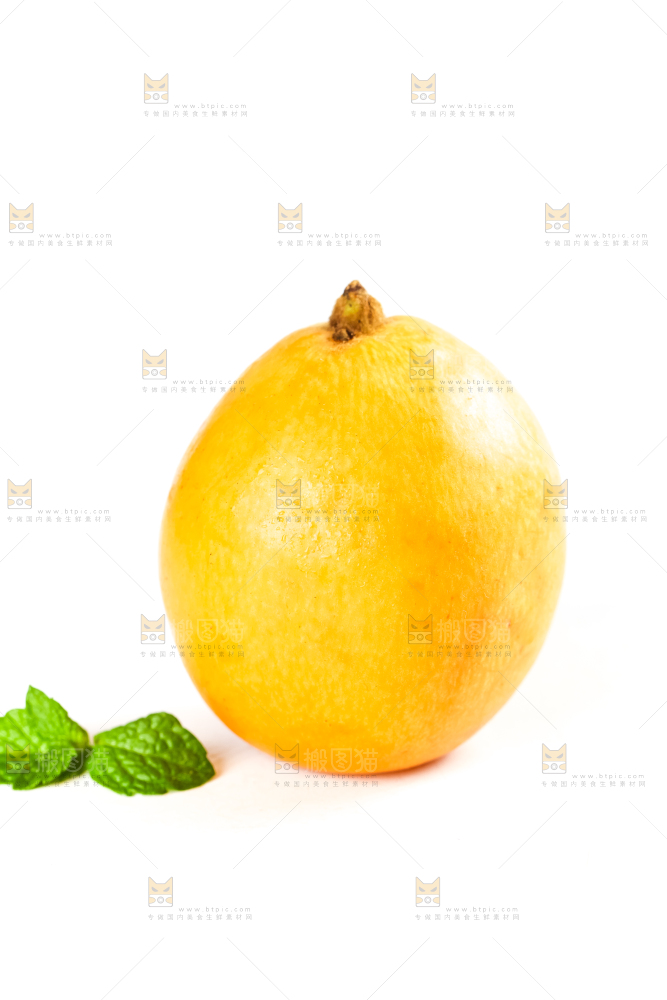 枇杷