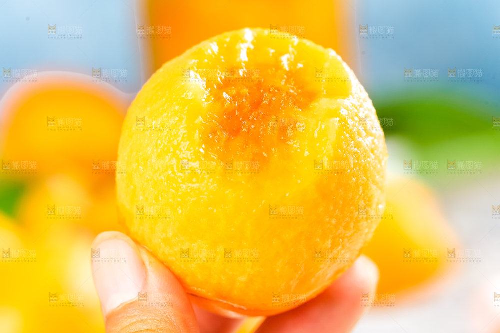 枇杷