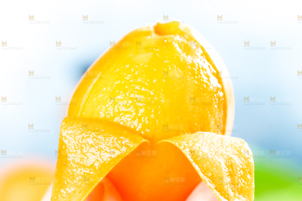 枇杷
