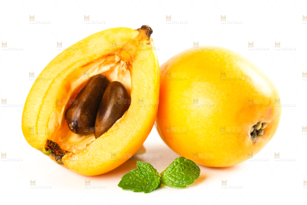 枇杷