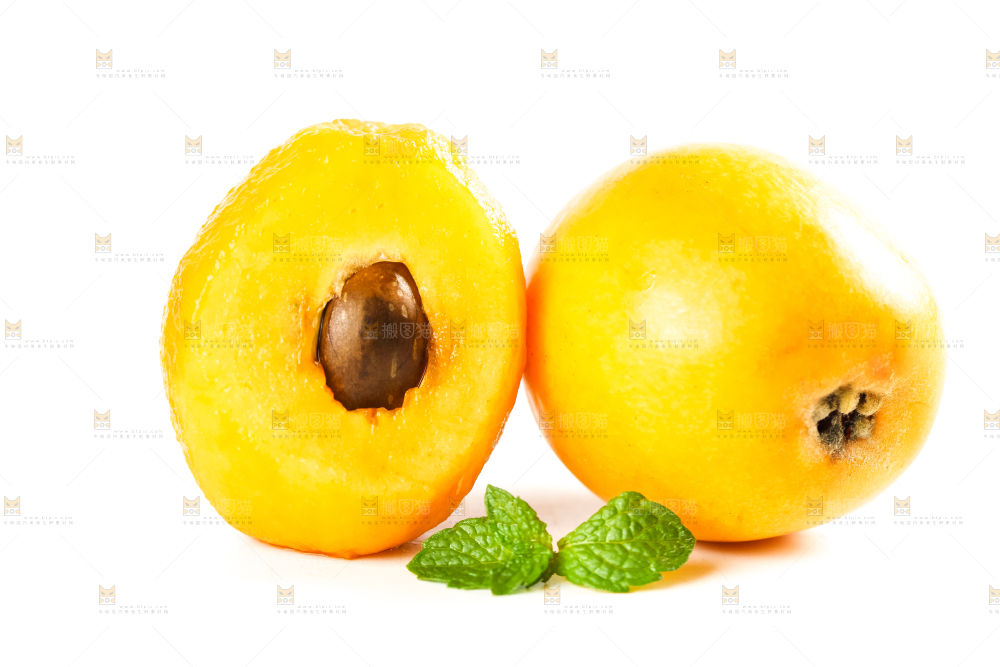 枇杷