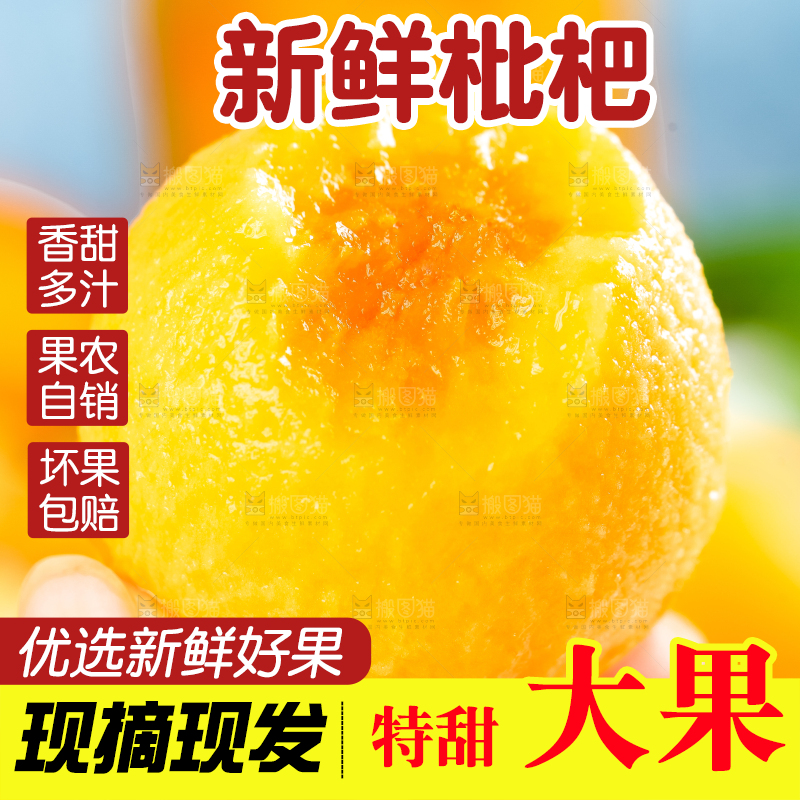 枇杷