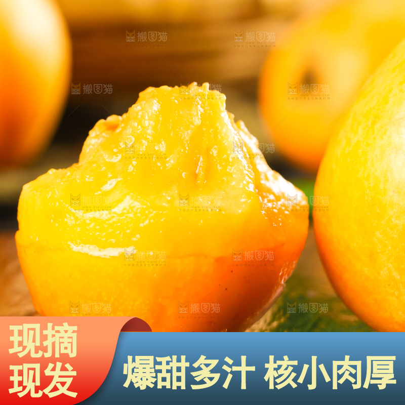枇杷