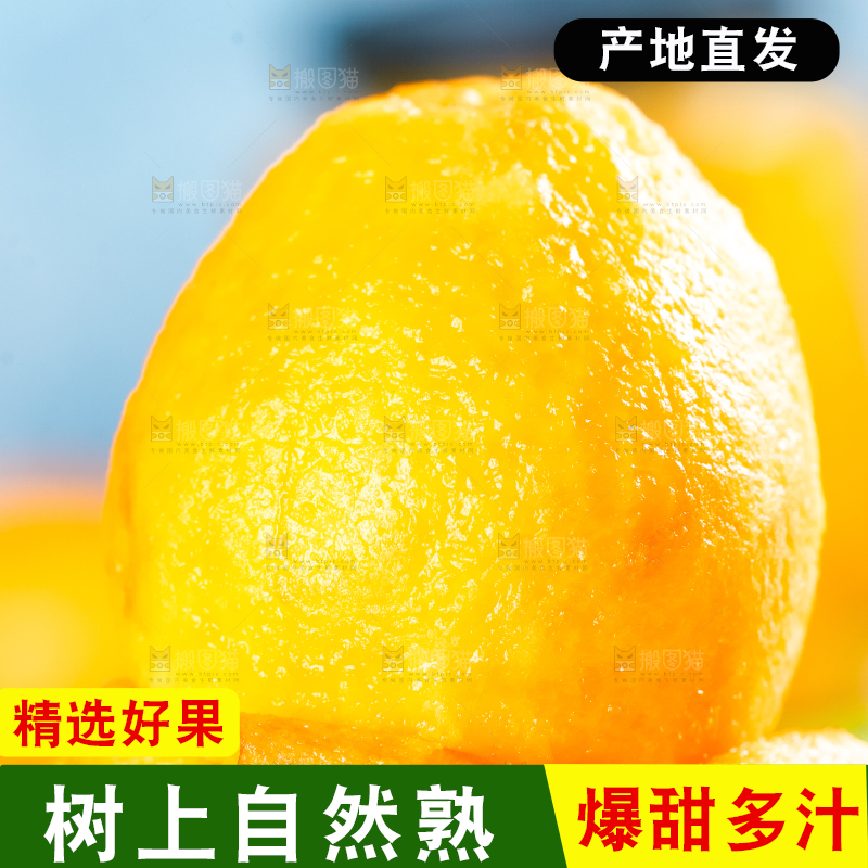枇杷
