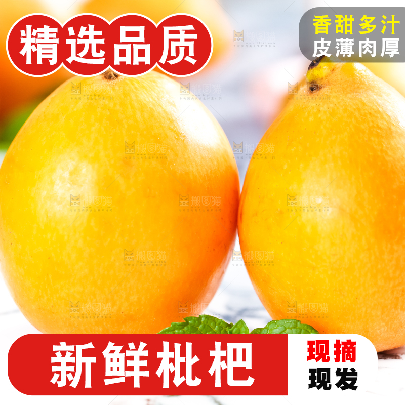 枇杷