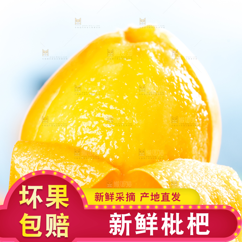 枇杷