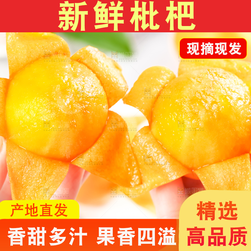 枇杷