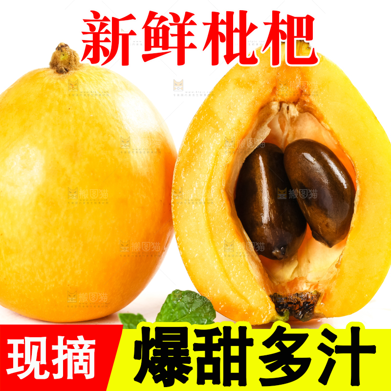 枇杷