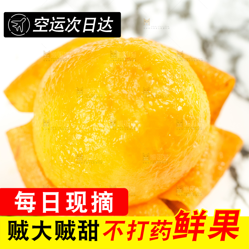 枇杷