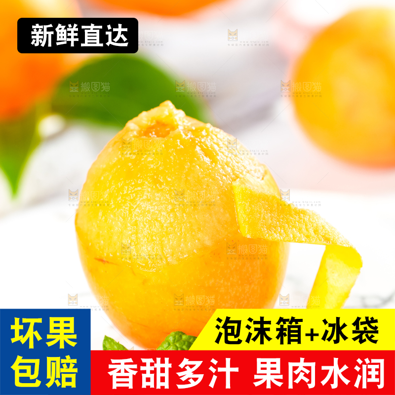 枇杷
