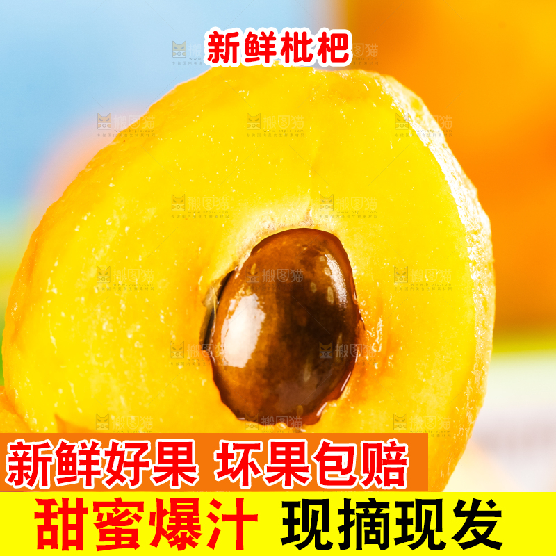 枇杷