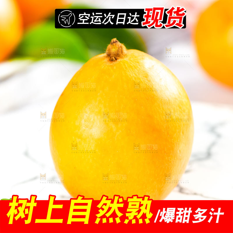 枇杷