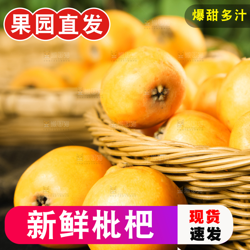 枇杷