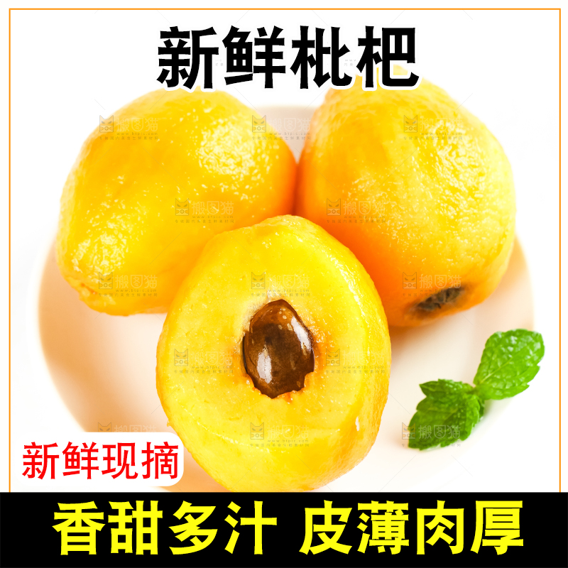 枇杷