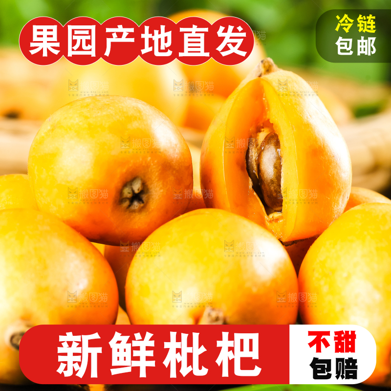 枇杷