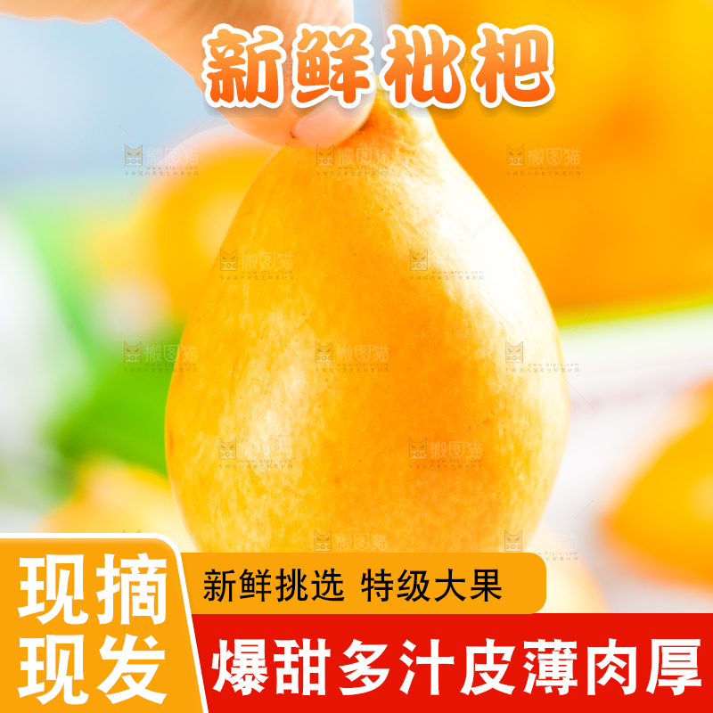 枇杷