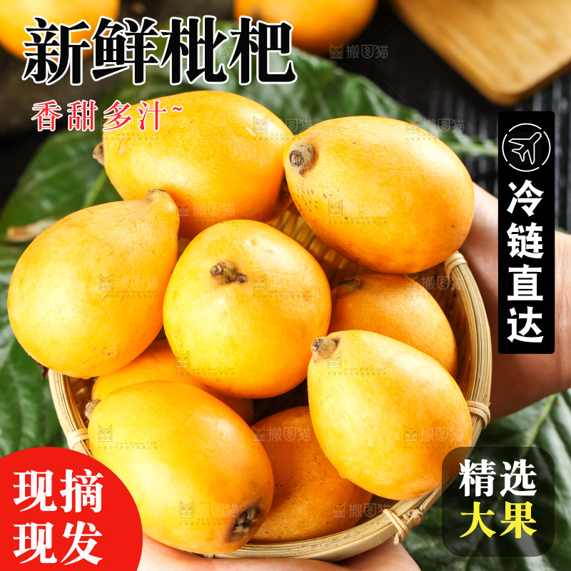 枇杷