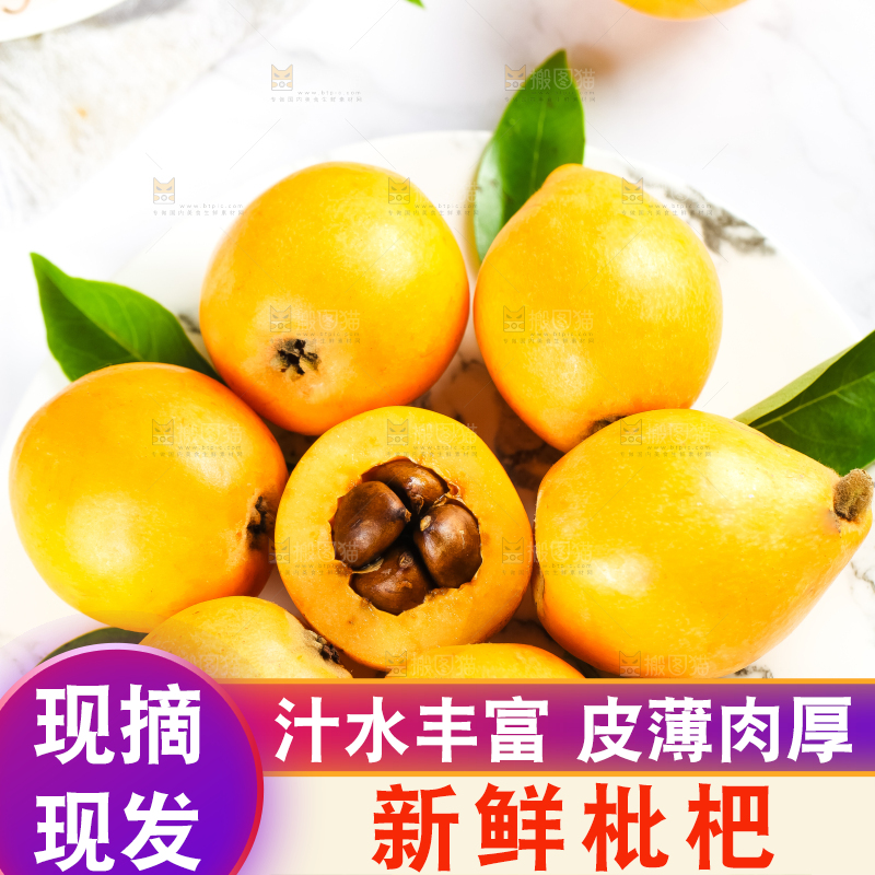 枇杷