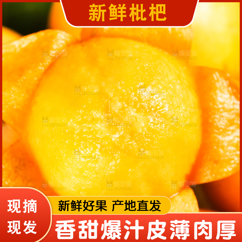 枇杷