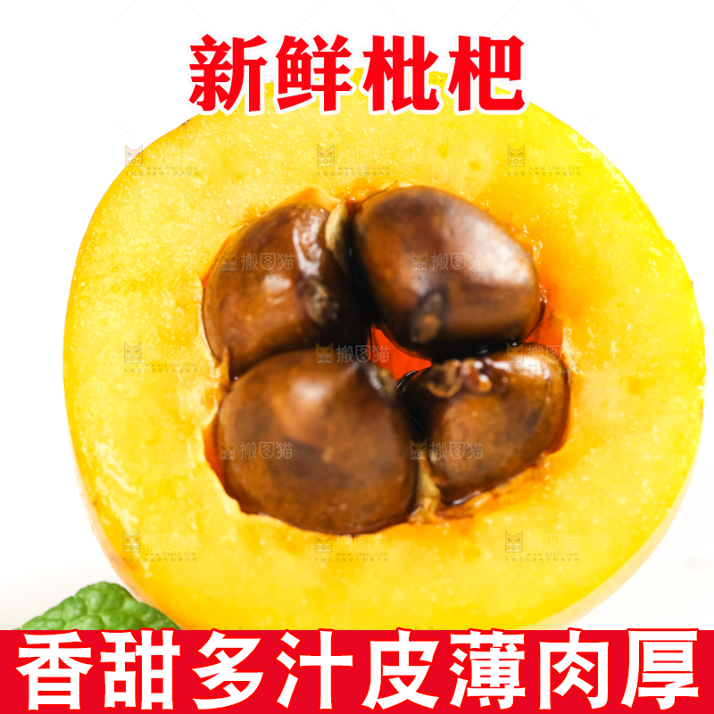 枇杷