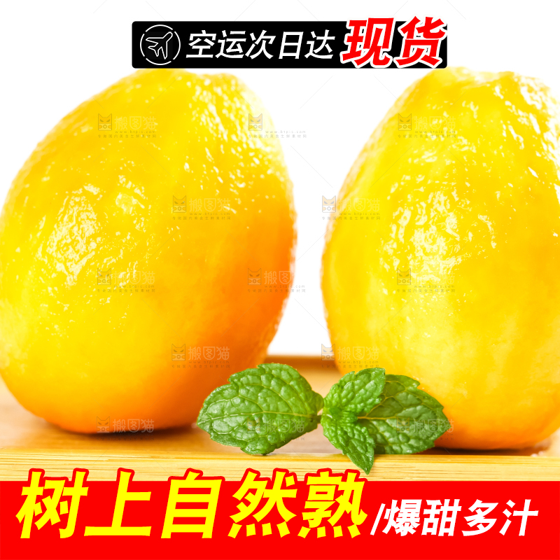 枇杷