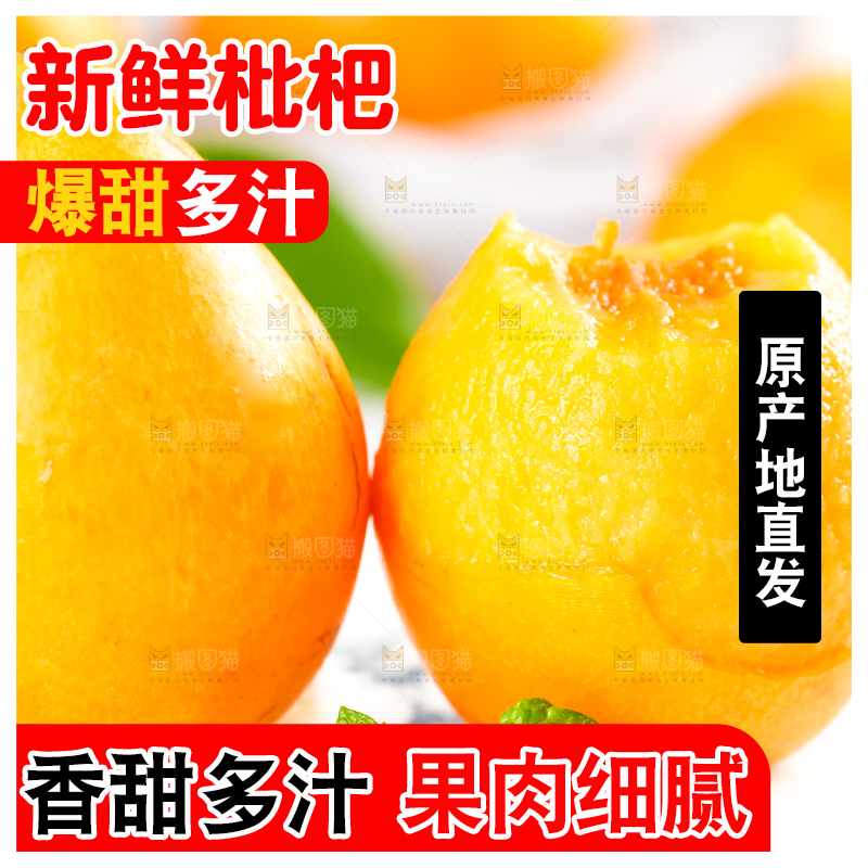 枇杷