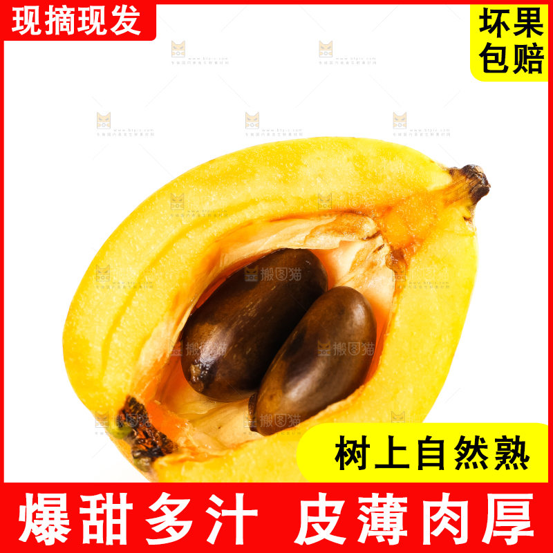枇杷