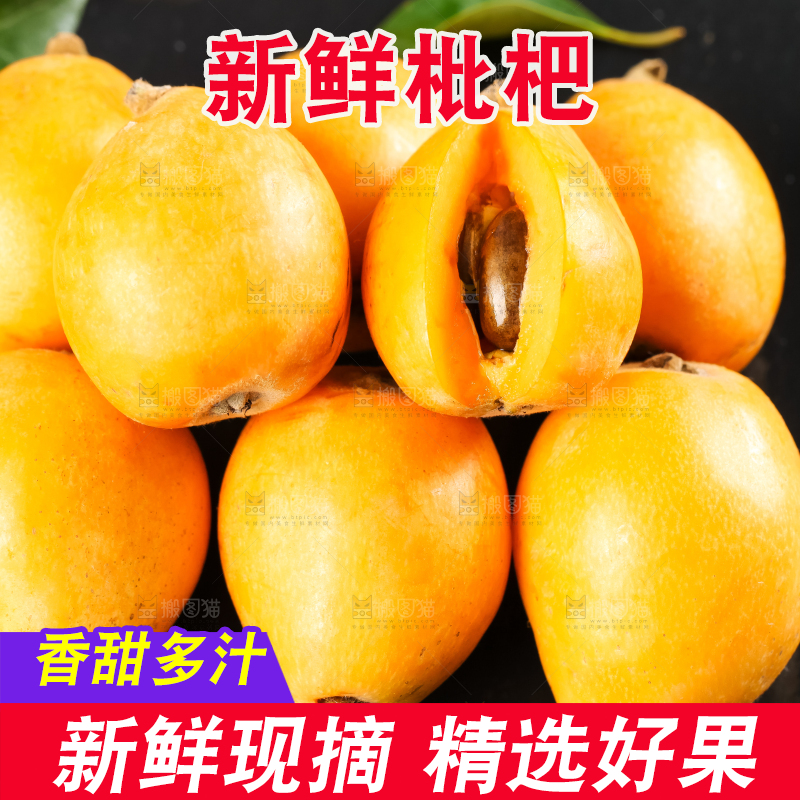 枇杷