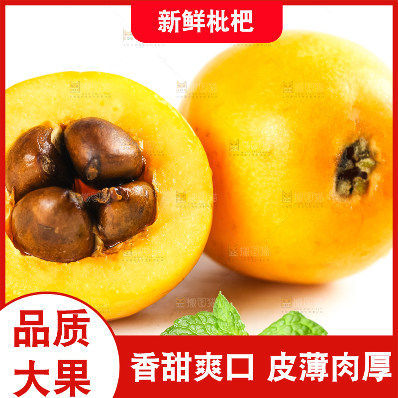 枇杷