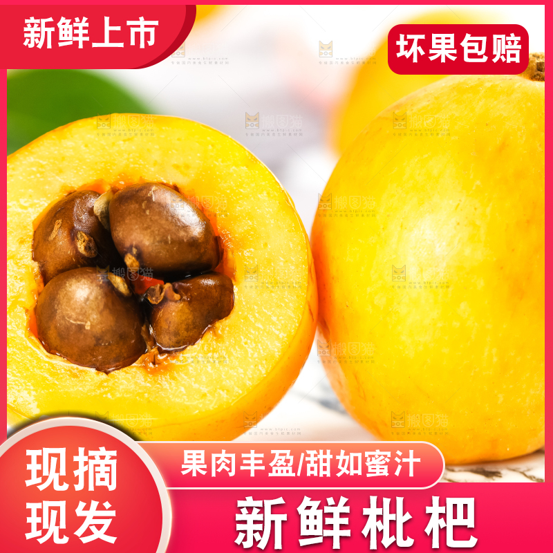 枇杷