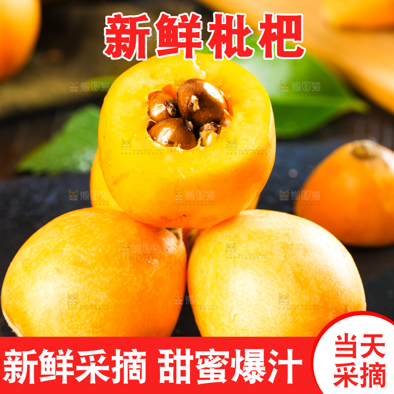 枇杷