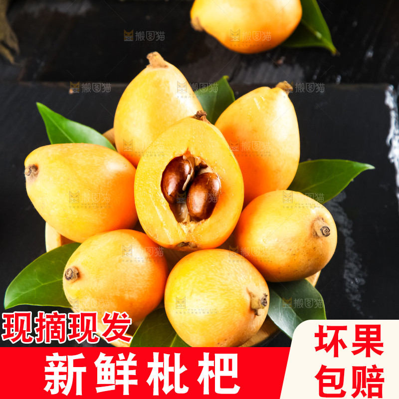 枇杷