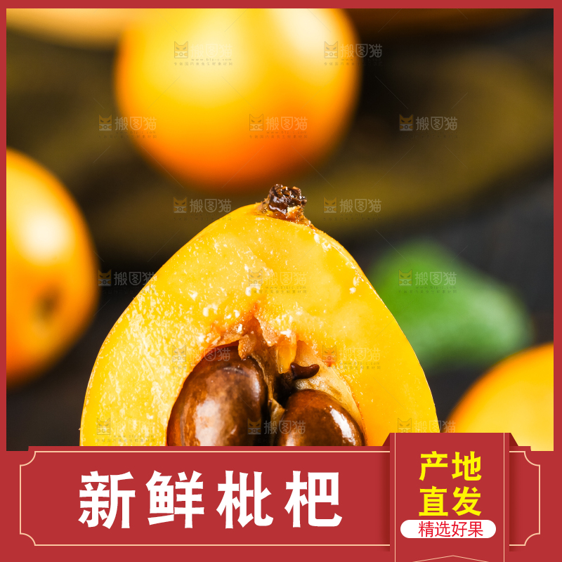 枇杷